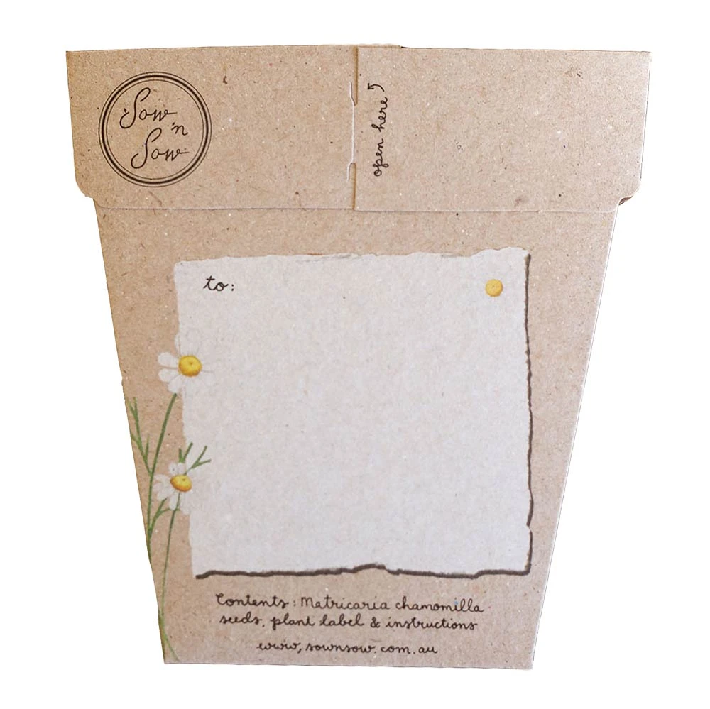 Sow N Sow Chamomile Gift Of Seeds