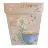 Sow N Sow Chamomile Gift Of Seeds