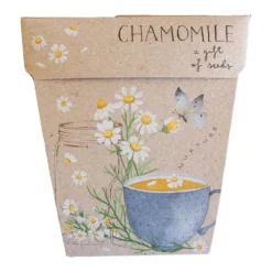Sow N Sow Chamomile Gift Of Seeds