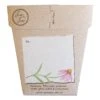 Sow N Sow Echinacea Gift Of Seeds Cards & Gifting