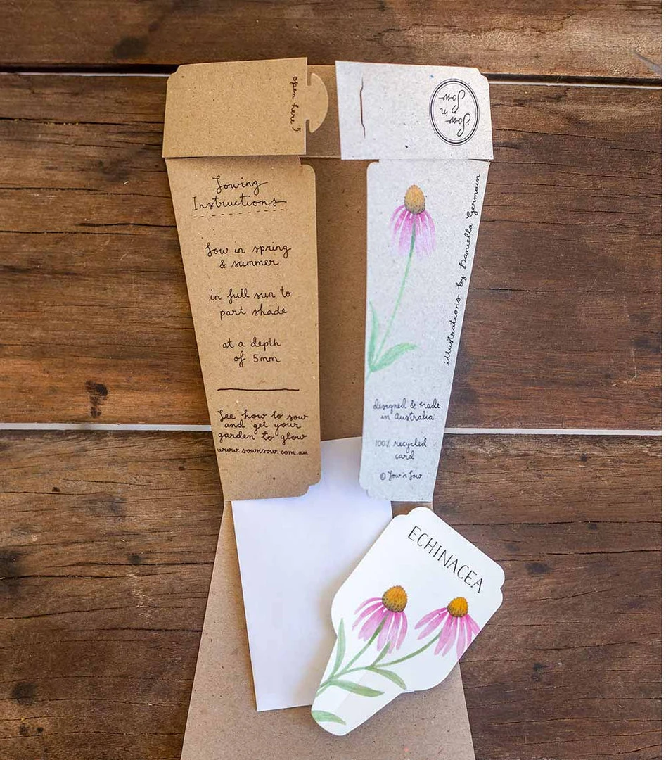 Sow N Sow Echinacea Gift Of Seeds Cards & Gifting