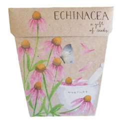 Sow N Sow Echinacea Gift Of Seeds Cards & Gifting