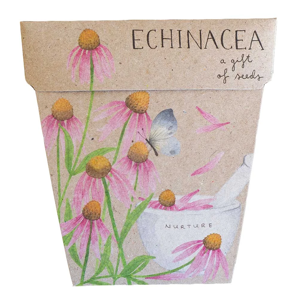 Sow N Sow Echinacea Gift Of Seeds Cards & Gifting