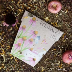 Sow N Sow Echinacea Gift Of Seeds Cards & Gifting