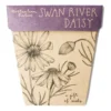 Sow N Sow Swan River Daisy Gift Of Seeds Sale