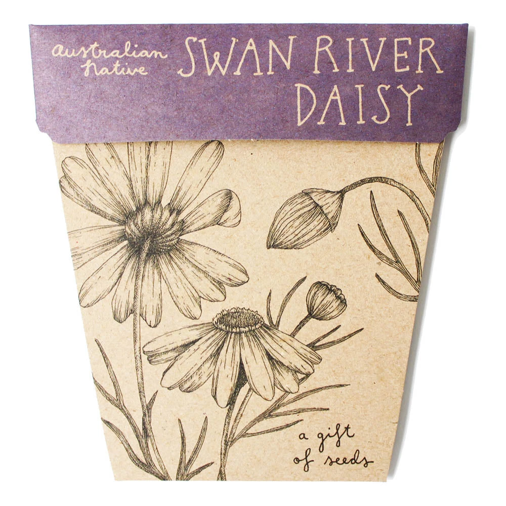 Sow N Sow Swan River Daisy Gift Of Seeds Sale