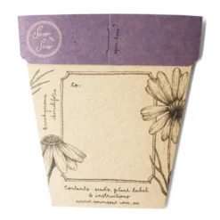 Sow N Sow Swan River Daisy Gift Of Seeds Sale