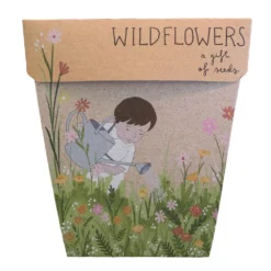 Sow N Sow Wildflowers - Gift Of Seeds Cards & Gifting